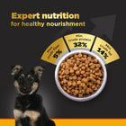 Pedigree Puppy PRO Expert Nutrition - Large Breed - Dry Dog Food - Zigly