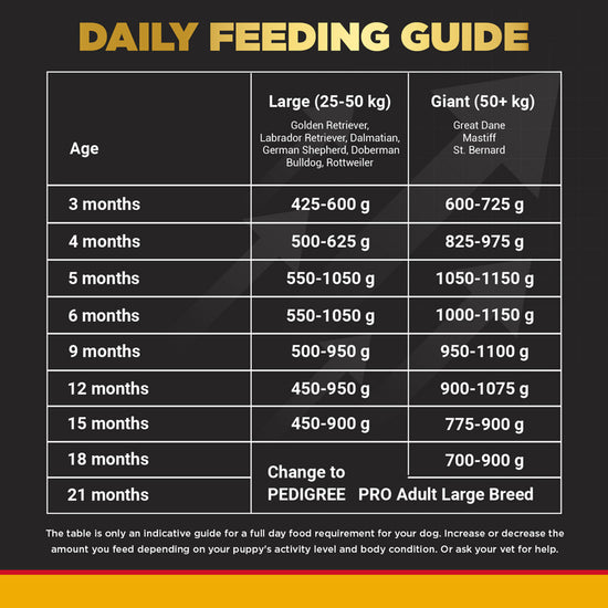 pedigree-puppy-pro-expert-nutrition-large-breed-dry-dog-food