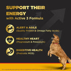 Pedigree PRO Expert Nutrition Active Adult Large Breed Dry Dog Food (18 Months Onwards) - 3kg - Zigly