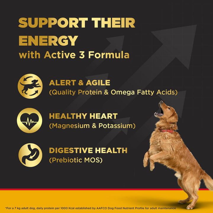 Pedigree Adult PRO Expert Nutrition Active - Large Breed - Dry Dog Food - 10kg