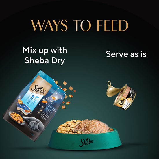 Sheba Deluxe Succulent Chicken Breast In Gravy Premium Canned Wet Cat Food - All Breed Adult - 85g