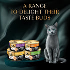 Sheba Deluxe Tuna In Jelly Premium Canned Wet Cat Food - All Breed Adult - 85g