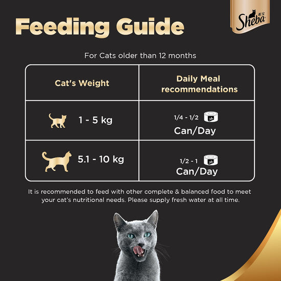 sheba-deluxe-tuna-in-jelly-premium-canned-wet-cat-food-all-breed-adult-85g