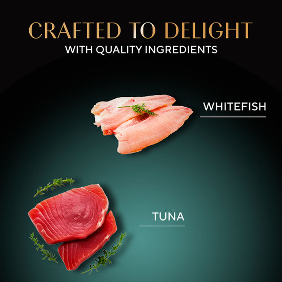 Sheba Deluxe Tuna In Jelly Premium Canned Wet Cat Food - All Breed Adult - 85g