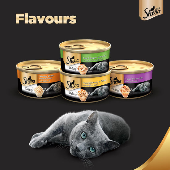 sheba-deluxe-tuna-in-jelly-premium-canned-wet-cat-food-all-breed-adult-85g