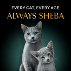 Sheba Deluxe Tuna In Jelly Premium Canned Wet Cat Food - All Breed Adult - 85g