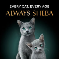 Sheba Deluxe Tuna In Jelly Premium Canned Wet Cat Food - All Breed Adult - 85g