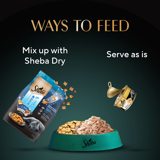 Sheba Deluxe Tuna & Prawn In Gravy Premium Canned Wet Cat Food - All Breed Adult - 85g