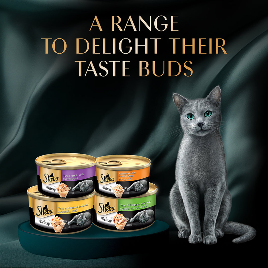 Sheba Deluxe Tuna & Prawn In Gravy Premium Canned Wet Cat Food - All Breed Adult - 85g