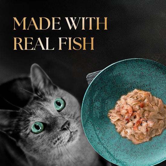 Sheba Deluxe Tuna & Prawn In Gravy Premium Canned Wet Cat Food - All Breed Adult - 85g