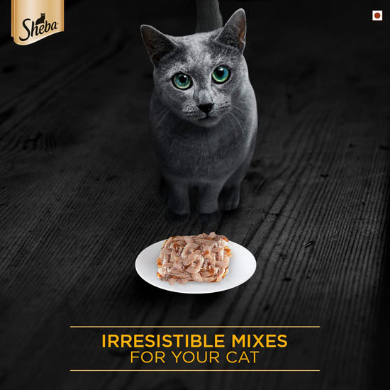 sheba-deluxe-tuna-prawn-ingravy-premium-canned-wet-cat-food-all-breed-adult-85g