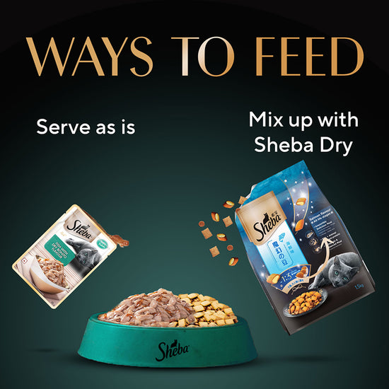 Sheba Rich Fish with Dry Bonito Flake Premium Wet Cat Food - All Breed Adult - 35g