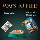 Sheba Rich Fish with Dry Bonito Flake Premium Wet Cat Food - All Breed Adult - 35g