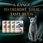 Sheba Rich Fish with Dry Bonito Flake Premium Wet Cat Food - All Breed Adult - 35g