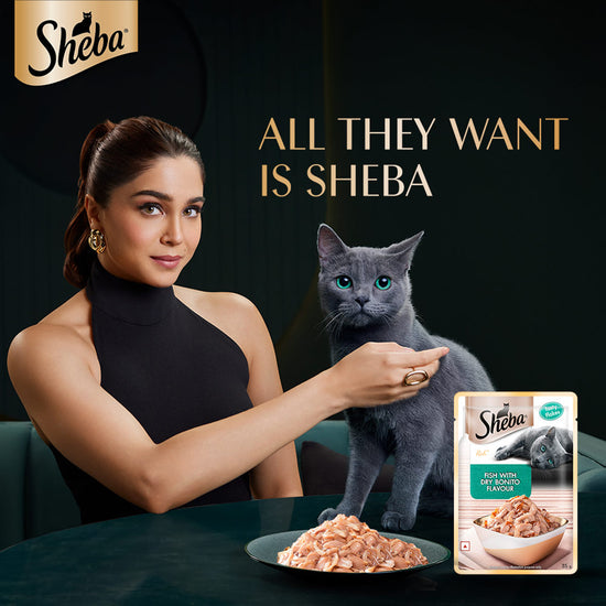 Sheba Rich Fish with Dry Bonito Flake Premium Wet Cat Food - All Breed Adult - 35g