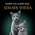 Sheba Rich Fish with Dry Bonito Flake Premium Wet Cat Food - All Breed Adult - 35g