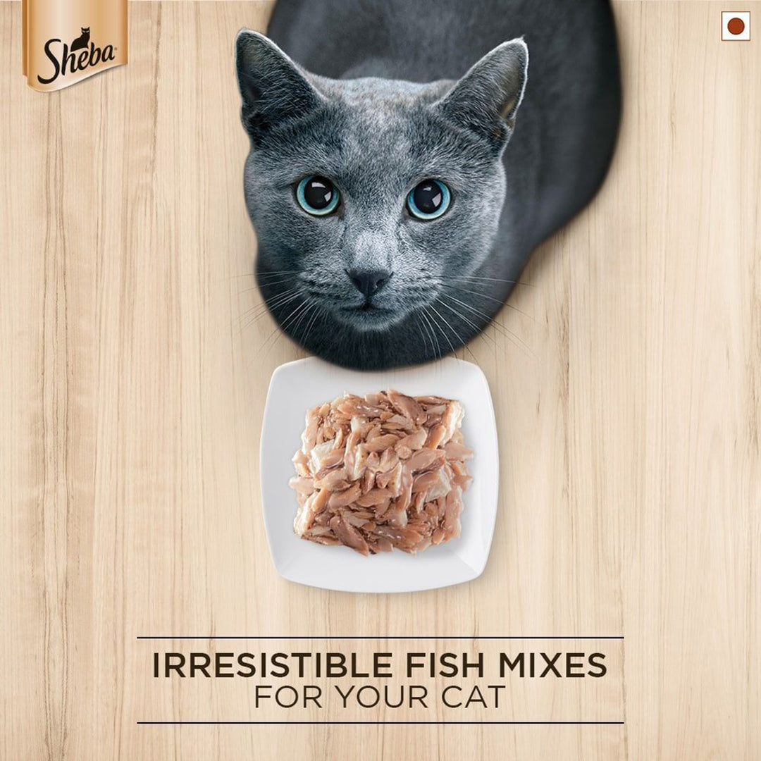 Sheba Rich Fish Mix (Maguro & Bream) Premium Wet Cat Food - All Breed Adult - 35g