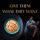 Sheba Rich Fish Mix (Skipjack & Salmon) Premium Wet Cat Food - All Breed Adult - 35g