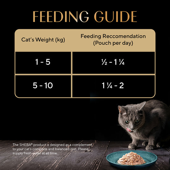 Sheba Rich Fish with Sasami Premium Wet Cat Food - All Breed Adult - 35g