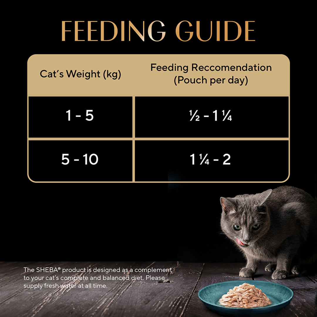 Sheba Rich Fish with Sasami Premium Wet Cat Food - All Breed Adult - 35g