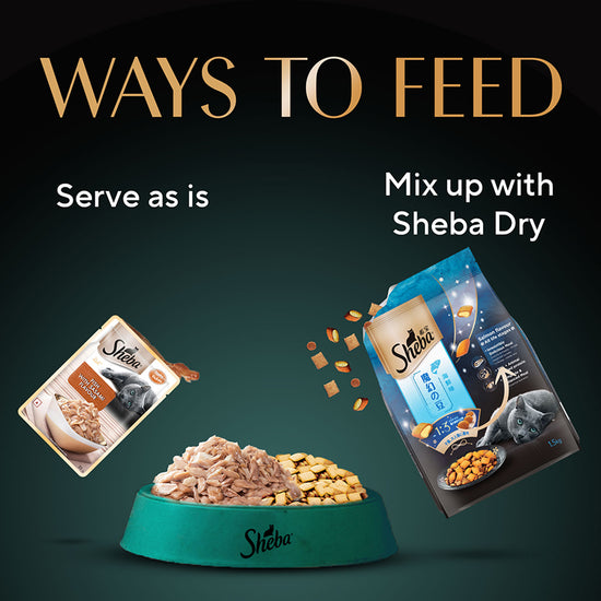 Sheba Rich Fish with Sasami Premium Wet Cat Food - All Breed Adult - 35g