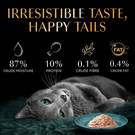 Sheba Rich Fish with Sasami Premium Wet Cat Food - All Breed Adult - 35g
