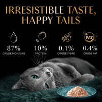 Sheba Rich Fish with Sasami Premium Wet Cat Food - All Breed Adult - 35g