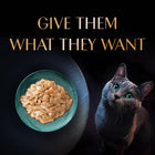 Sheba Rich Fish with Sasami Premium Wet Cat Food - All Breed Adult - 35g