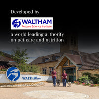 Sheba Rich Fish with Sasami Premium Wet Cat Food - All Breed Adult - 35g