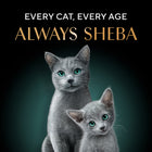Sheba Rich Fish with Sasami Premium Wet Cat Food - All Breed Adult - 35g