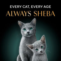 Sheba Rich Fish with Sasami Premium Wet Cat Food - All Breed Adult - 35g