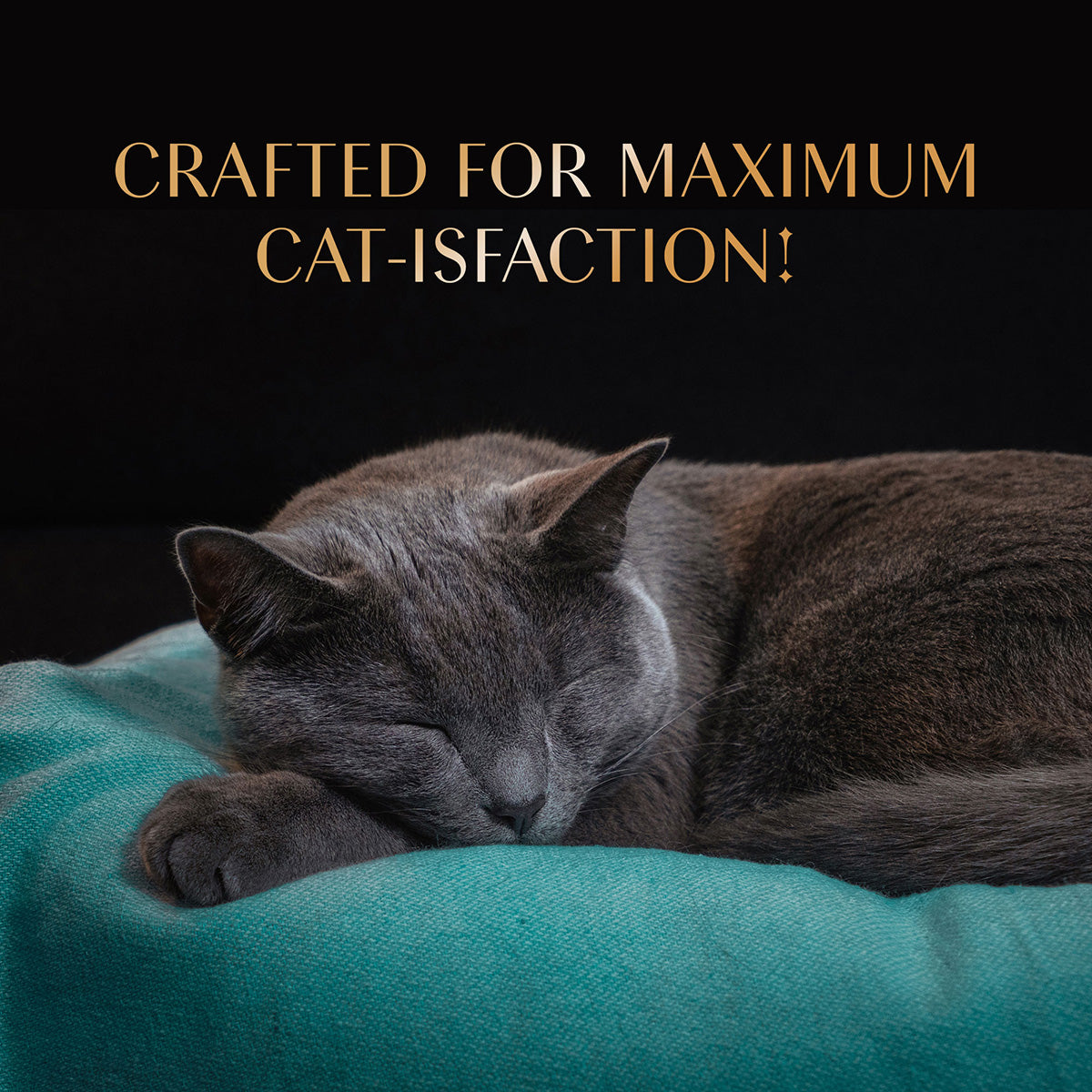 Sheba Maguro Selection Tuna & Prawn Flavour Cat Meaty Treat - 48 gm