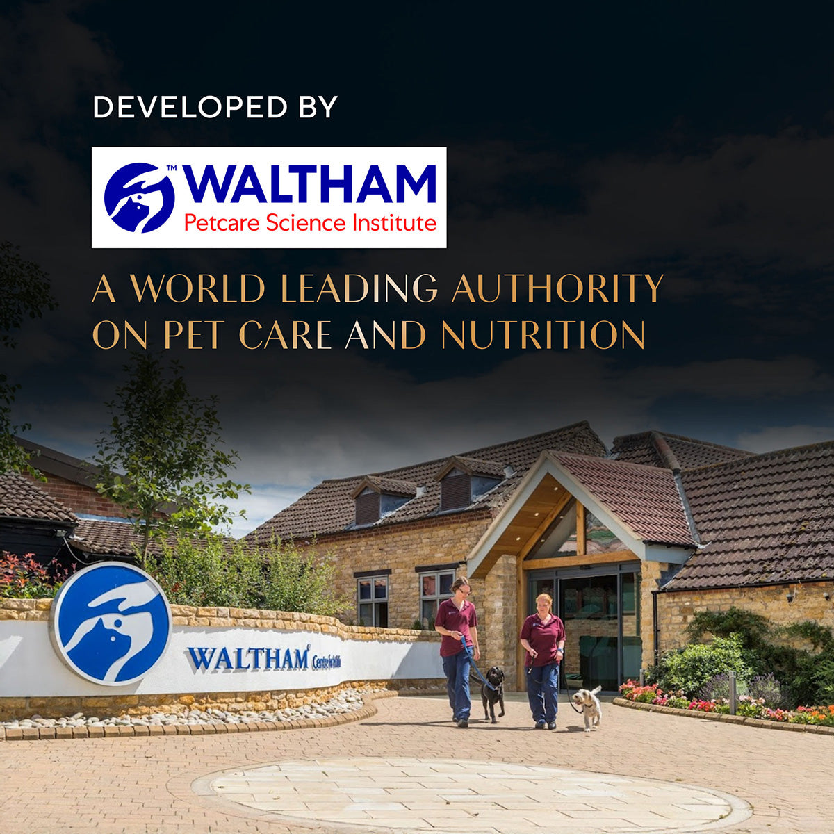 Sheba Maguro Selection Tuna & Prawn Flavour Cat Meaty Treat - 48 gm