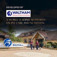 Sheba Maguro Selection Tuna & Prawn Flavour Cat Meaty Treat - 48 gm