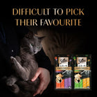 Sheba Melty Sasami Chicken Flavour Cat Meaty Treat - 48 gm