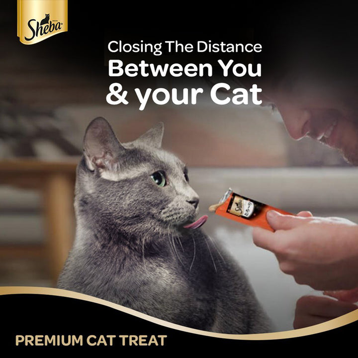 Sheba Melty Sasami Chicken Flavour Cat Creamy Treat - All Breed Adult - 48g