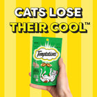 Temptations Seafood Medley Flavour Cat Meaty Treat