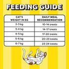 Temptations Seafood Medley Flavour Cat Meaty Treat