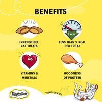 Temptations Seafood Medley Flavour Cat Meaty Treat