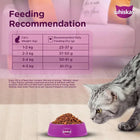 Whiskas Ocean Fish Flavour Dry Cat Food - All Breed Adult (+1 year) - Zigly