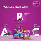 Whiskas Ocean Fish Flavour Dry Cat Food - All Breed Adult (+1 year) - Zigly