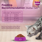 Whiskas Mackerel Dry Cat Food - All Breed Kitten (2-12 months) - Zigly
