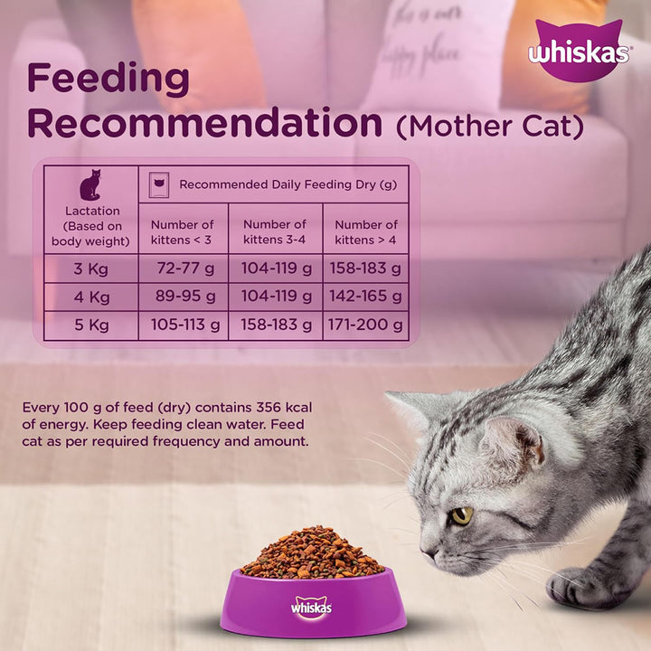 Whiskas Mackerel Dry Cat Food - All Breed Kitten (2-12 months)