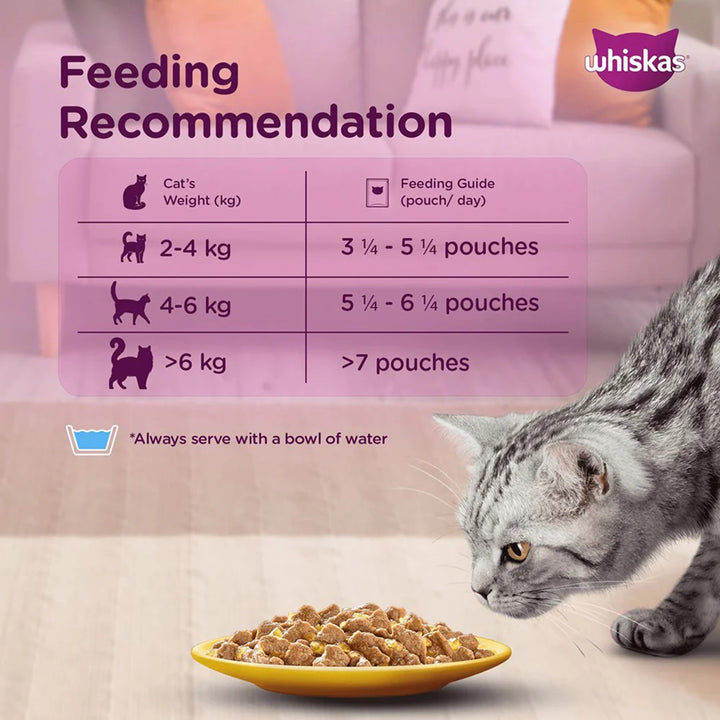 Whiskas Adult Salmon In Gravy Wet Cat Food - 80g