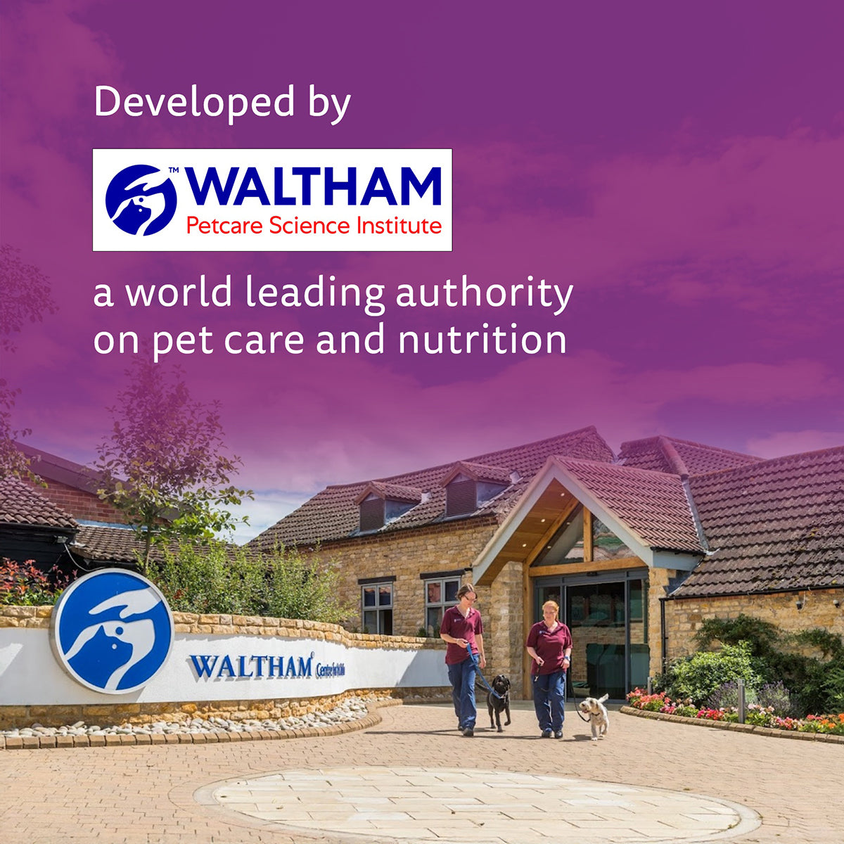 Whiskas Adult Ocean Fish Wet Cat Food - 85g