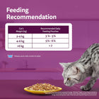 Whiskas Adult Ocean Fish Wet Cat Food - 80g