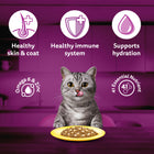 Whiskas Adult Ocean Fish Wet Cat Food - 80g