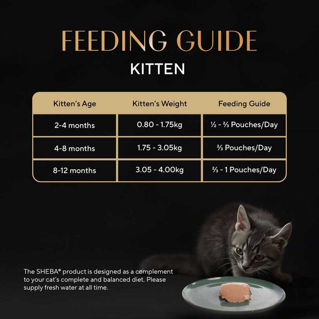 Sheba Rich Premium Chicken Loaf Fine Wet Cat Food - All Breed Kitten (2-12 Months) - 70g