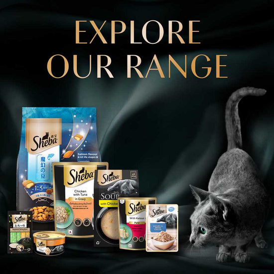 Sheba Rich Premium Chicken Loaf Fine Wet Cat Food - All Breed Kitten (2-12 Months) - 70g