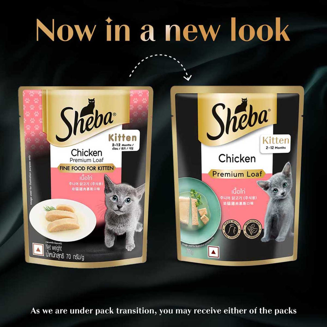 Sheba Rich Premium Chicken Loaf Fine Wet Cat Food - All Breed Kitten (2-12 Months) - 70g